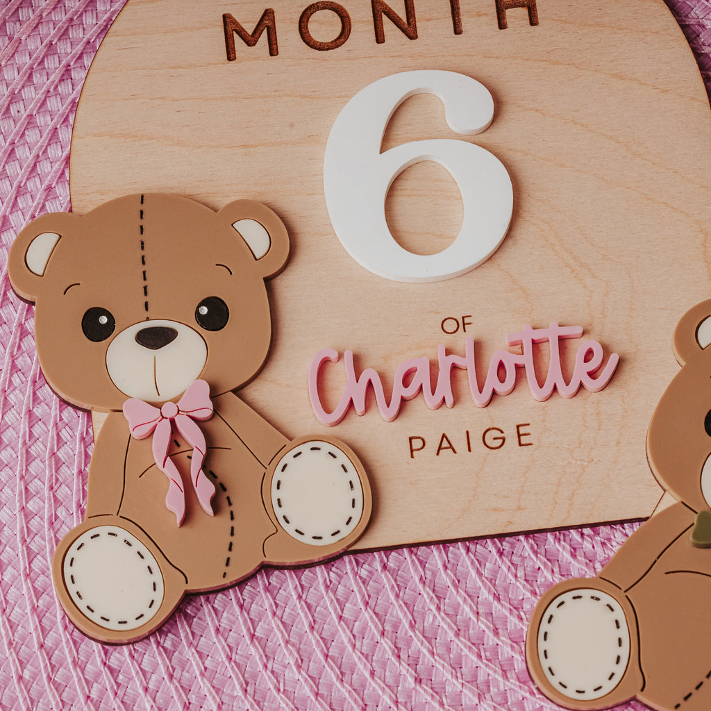 Personalized wooden baby milestone plaque showing 'MONTH 6 OF Charlotte Paige' with two cute brown teddy bear cutouts on a pink braided fabric background.