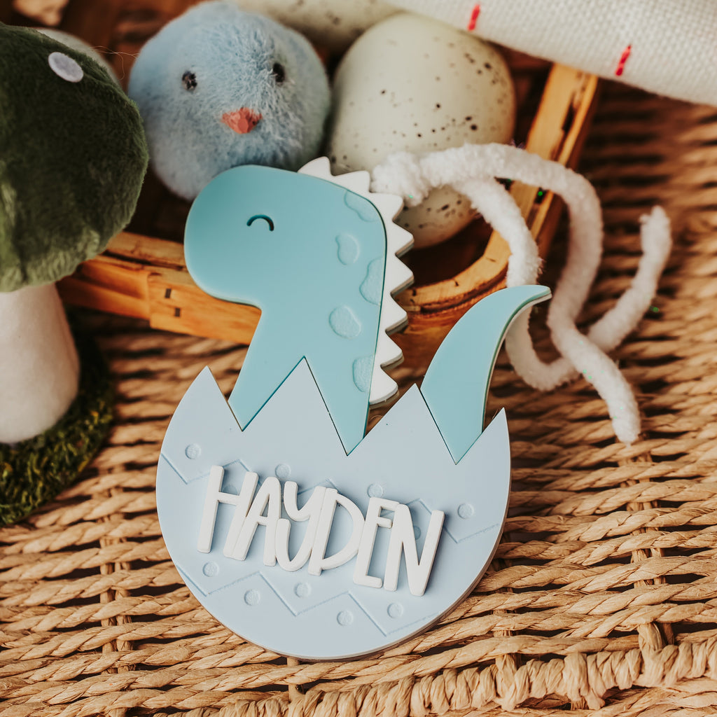 A light blue and white personalized Easter basket tag featuring a dinosaur hatching from an egg with the name 'HAYDEN' in white raised letters. The toy is styled in a wicker basket with plush toys and Easter decorations.