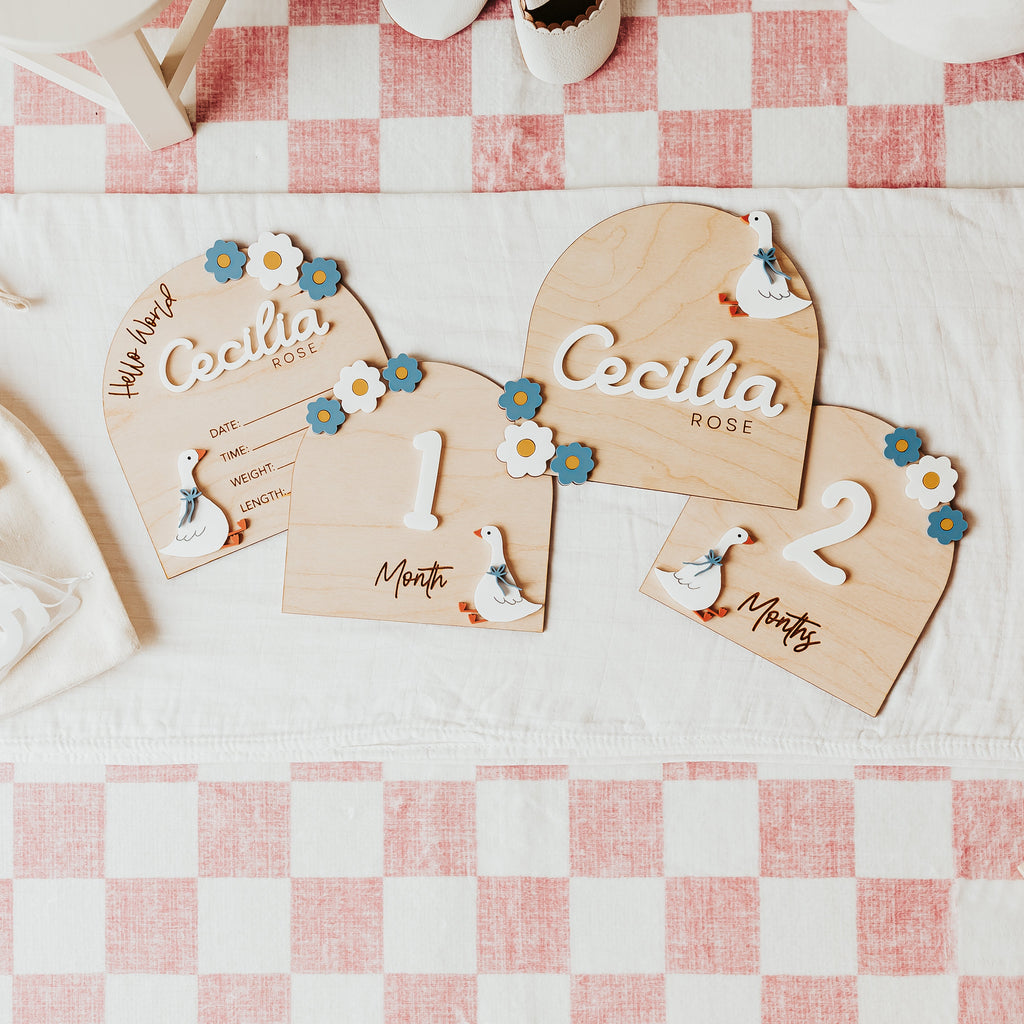 Four wooden 'silly goose' wooden signs (name sign, birth stat sign and milestones) with a 3D acrylic goose and blue and white flowers on each sign, arranged on a pink and white checkered blanket alongside a cream drawstring bag with white acrylic numbers for interchangeable milestones.