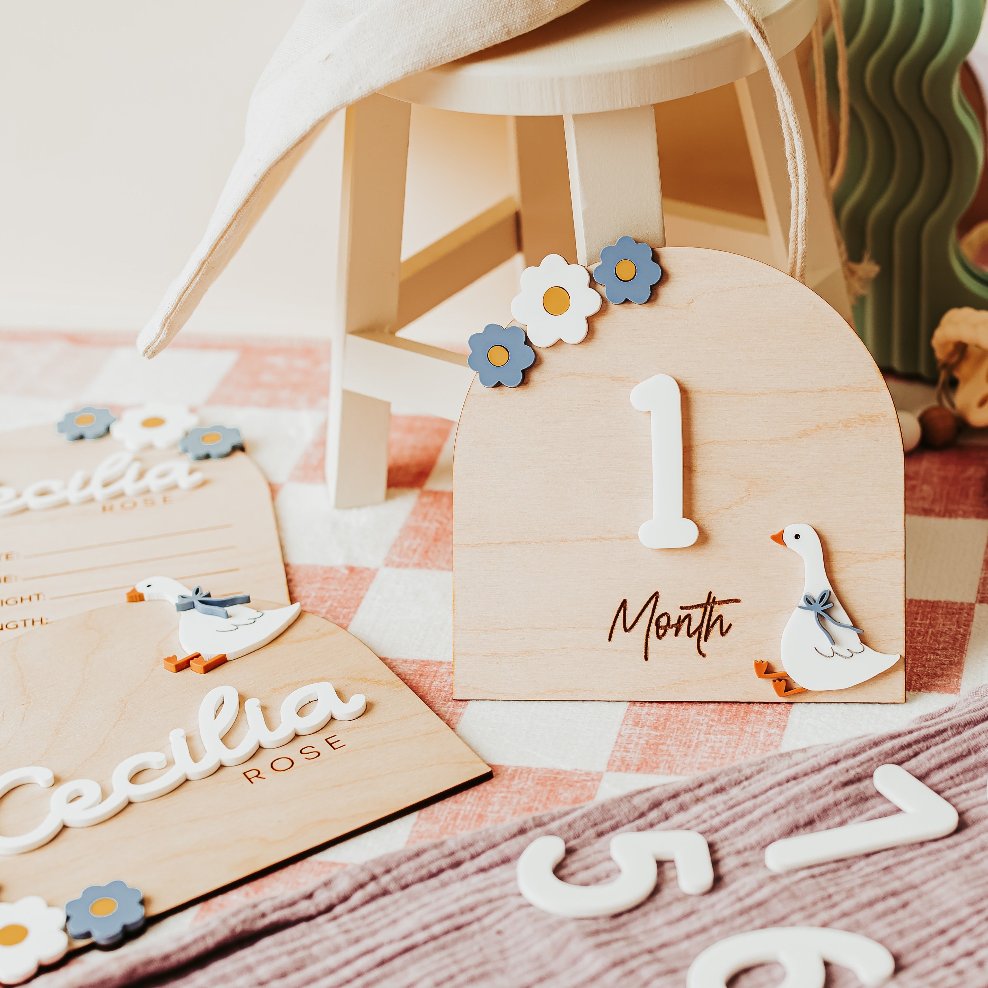 A styled tabletop display featuring wooden milestone signs, including a large '1 Month' sign and smaller birthday cards with floral and bird decorations, set on a pink-and-white checkered blanket with baby accessories in the background.