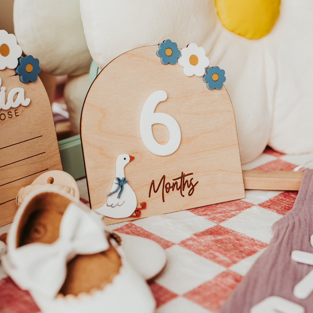 A wooden arch-shaped baby milestone sign displaying '6 Months' with a small white duck illustration, styled on a red-and-white checkered blanket with a white baby bootie and plush toys in the background.